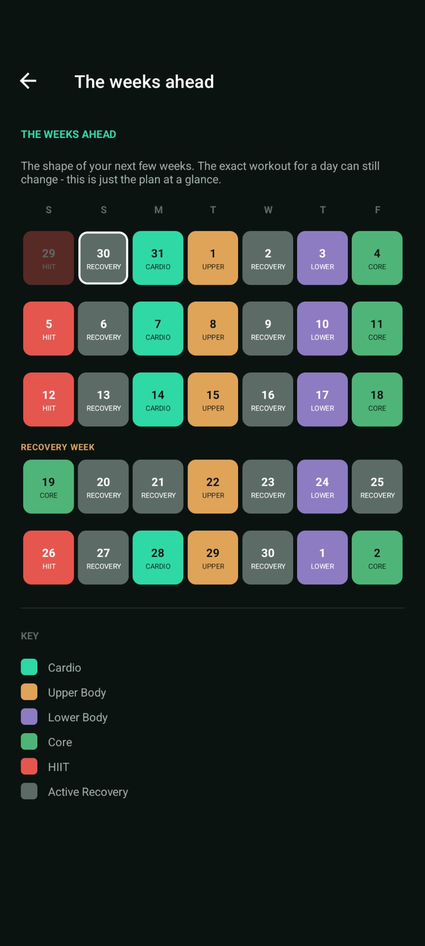 DailyFit15 plan calendar showing the weeks ahead